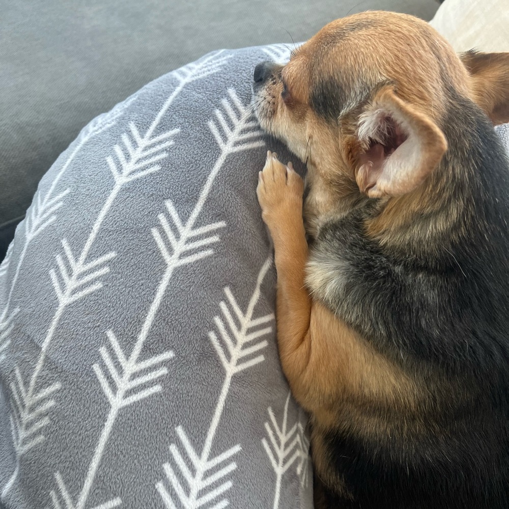 Meet your Posher, Rea